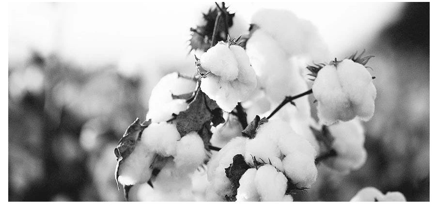 NEXT STREET Twill Retro Newsboy Hat 003